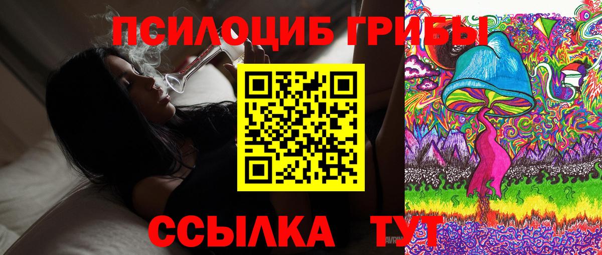 Звенигород  Псилоцибиновые грибы Magic Shrooms  Вход с VPN 