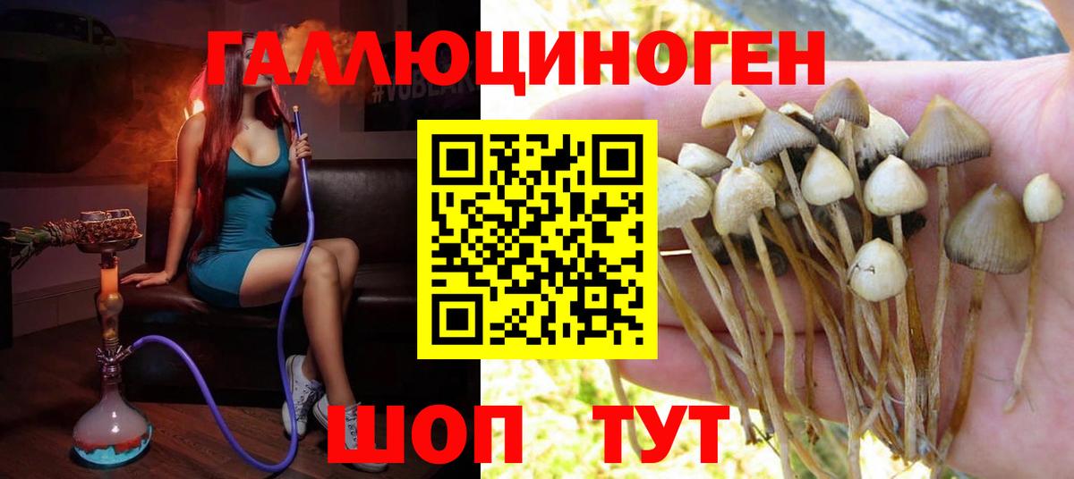 Галлюциногенные грибы прущие грибы Звенигород